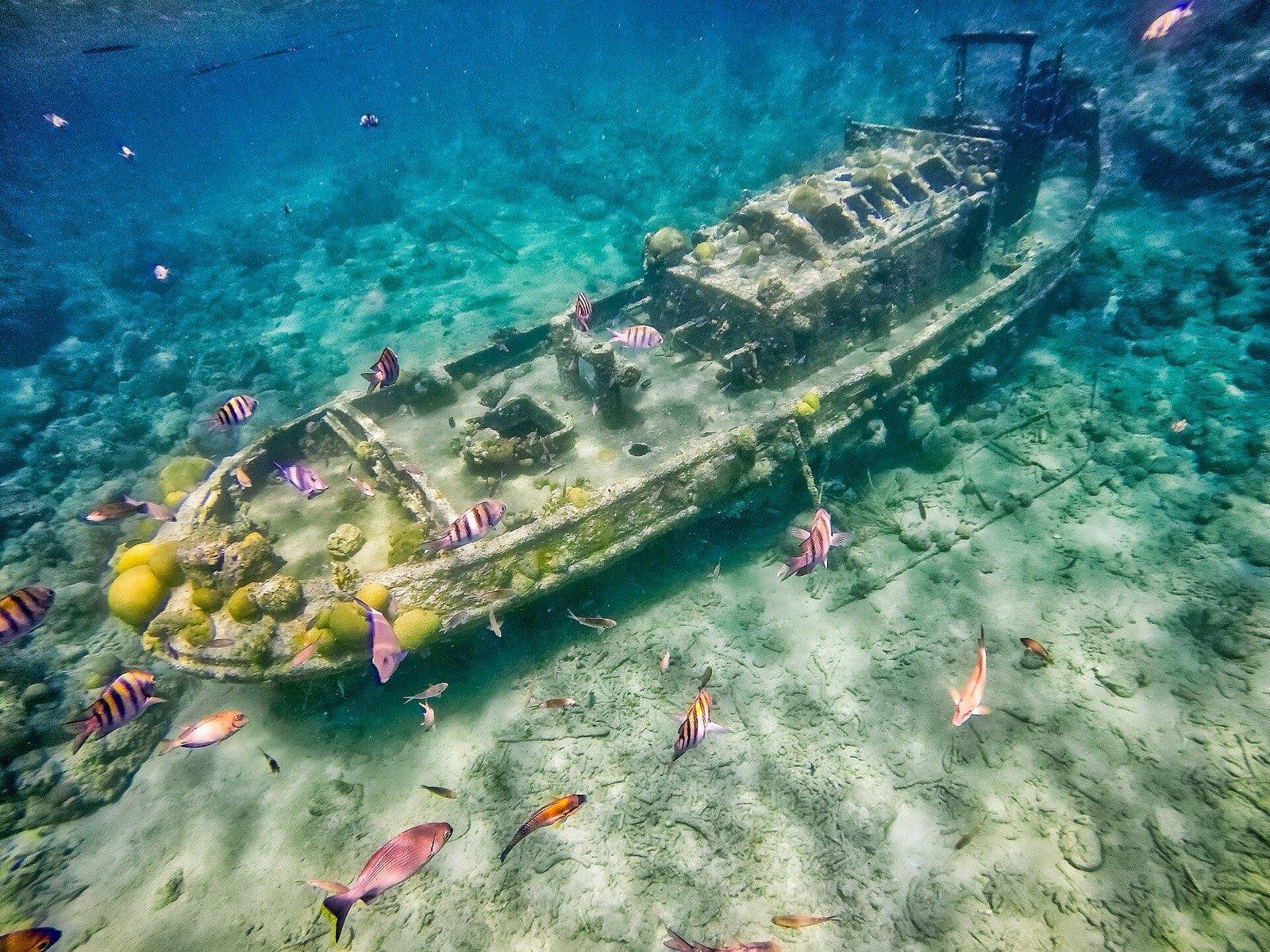 The coral-covered tugboat wreck resting in shallow clear water at Tugboat Beach near Caracasbaai, Curaçao